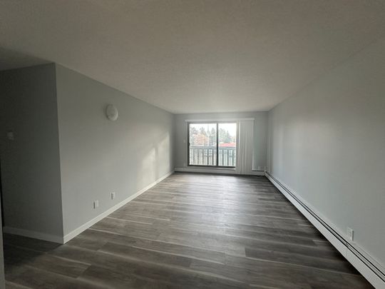 Small Pet Friendly Spacious 3-Bedroom Apartment - Photo 1