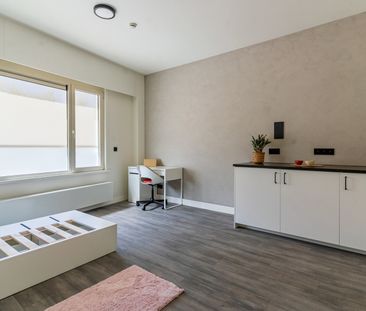 Gerenoveerde studentenkamers & studio’s - Photo 2
