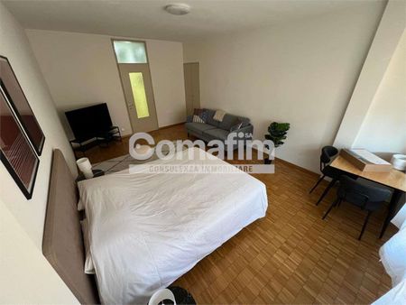 Appartamento ammobiliato 1.5 locali a Lugano - Foto 4