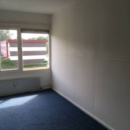 Lemselobrink - Photo 3