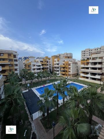 Alquiler de piso en Punta Prima - Photo 5