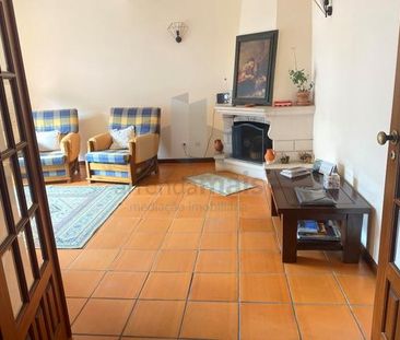 Apartamento T3 - Photo 2