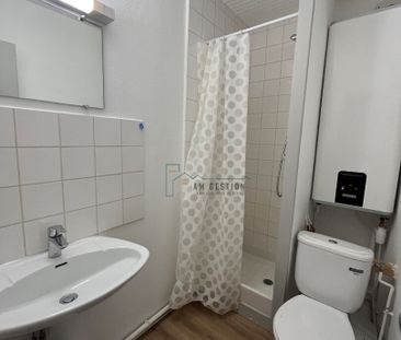 Location Appartement 1 pièce 19m² - Photo 4