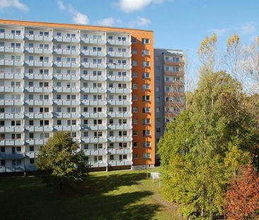 1-Raum-Wohnung mit Balkon nahe botanischer Garten - Photo 3