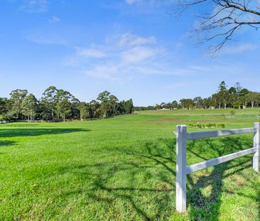 667A Old Northern Road, Dural NSW 2158 - House For Rent | Domain - Photo 4