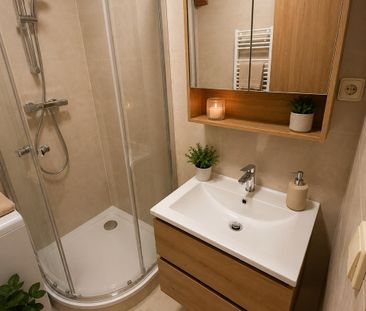 Apartment for rent, 1+KK - Studio, 41m - Photo 4