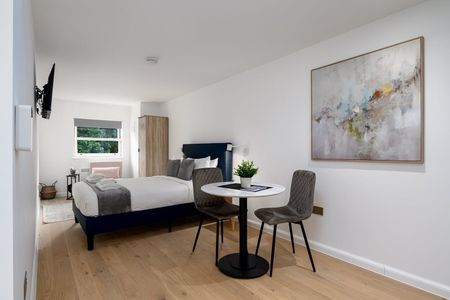 Bedsit, Stockwell St, SE10 - Photo 3