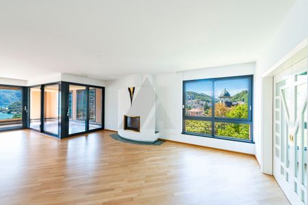 EXCLUSIVE PENTHOUSE WITH LAKE VIEW - Photo 3