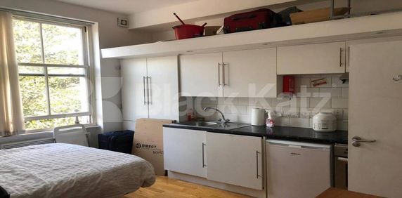 Large studio set within a period house with access to a large communal garden. - Photo 2