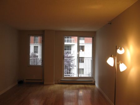 Appartement à louer à Montréal (Ville-Marie) - Photo 2