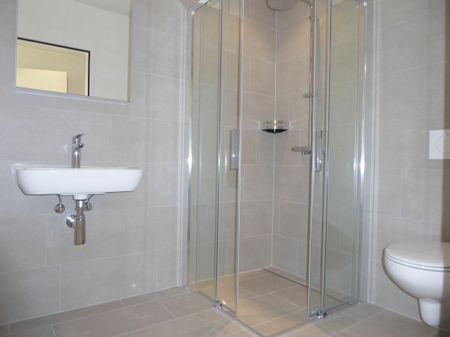 4 1/2-room apartment – new construction project “Rheincity” - Photo 5