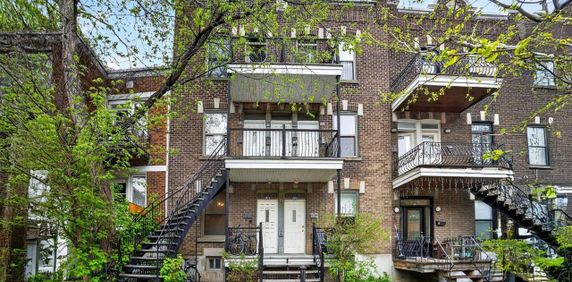 Appartement Le Plateau-Mont-Royal (Montréal) À Louer - Photo 2
