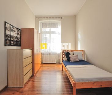 Komfortowy jednoosobowy pokój do wynajęcia - Zdjęcie 3