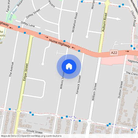 9 Wilkins Street, Yagoona