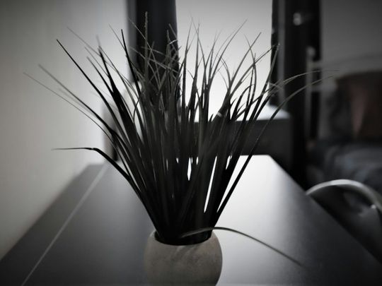 Terraced House to rent on - Photo 1