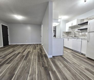 AMAZING FULLY RENO'D Apartment in Lacombe! CATS OK! - Photo 5