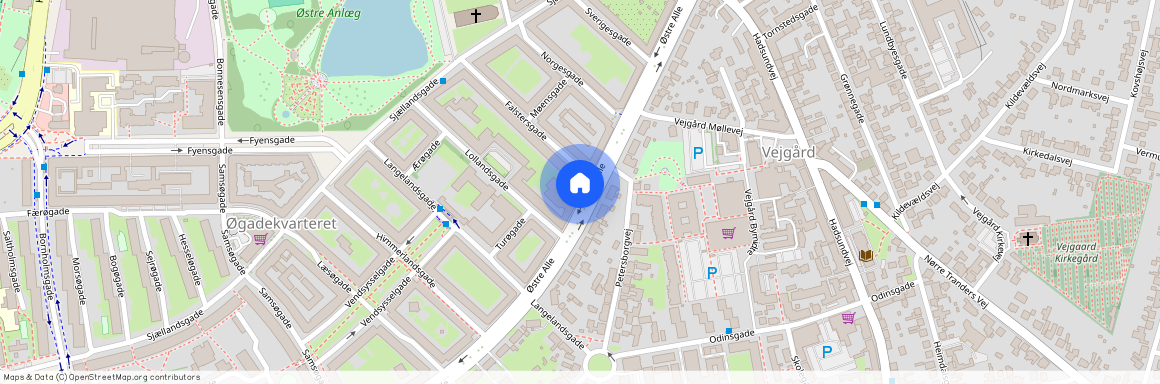 Østre Alle 42, st. tv., Aalborg