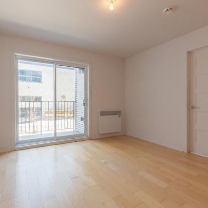 Magnifique condo rénové 4½ de 750 pi² face au parc Père-Marquette, un des secteurs les plus recherchés de Rosemont Petite Patrie. Dispo dès 15 juillet - Photo 4