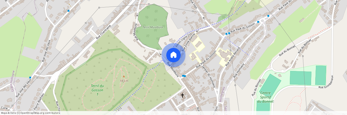 Rue Émile Jeanne, 52, 4420, Saint-Nicolas