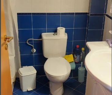 Μονοκατοικία για ενοικίαση Γαλατάς (Νέα Κυδωνία) - Photo 6