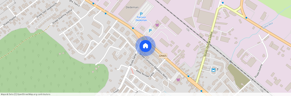 Arges, Pitesti