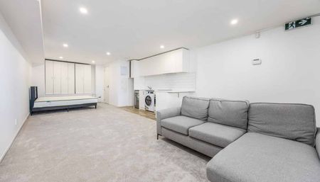 Furnished Studio in Prime Grey Lynn - Photo 4