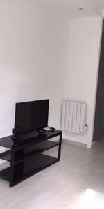 Location Appartement 1 pièce 19m² - Photo 3