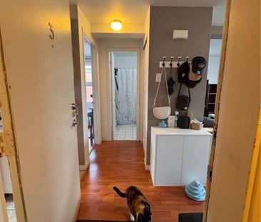 1 Chambre 1 Salle de bain - Appartement - Photo 2