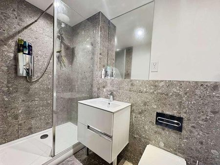 South Road, Maidenhead, SL6 - Photo 5