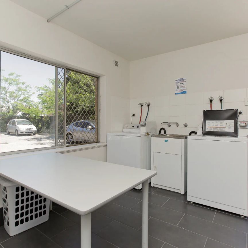 MORNING WALKS BY THE RIVER - Photo 1