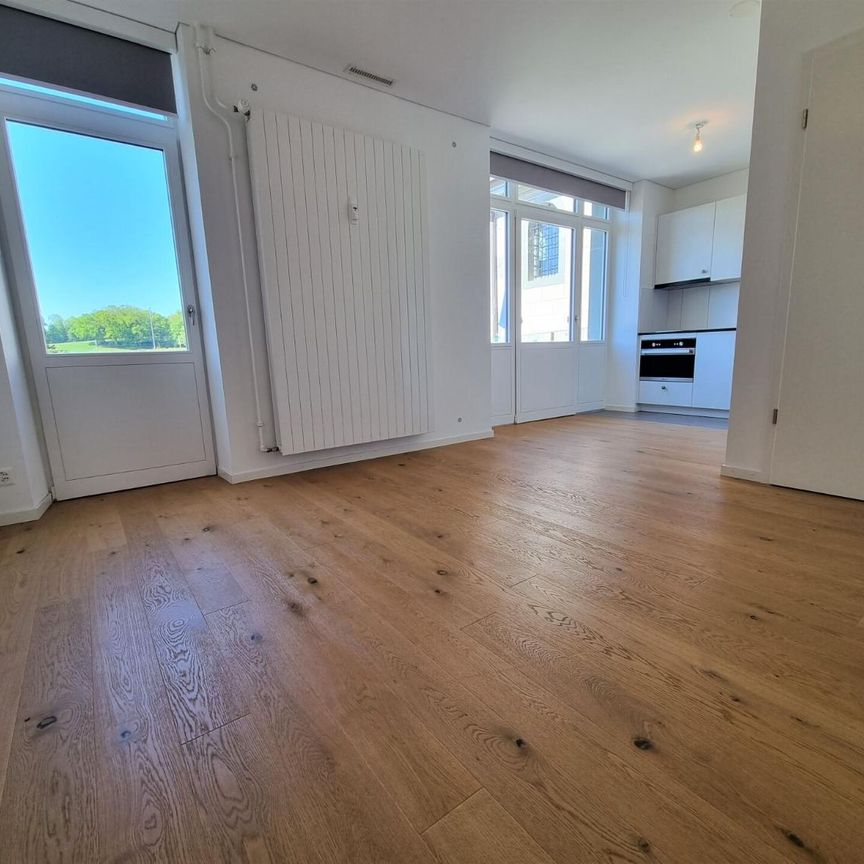 2 Zimmer, 34 m², EG - Photo 1