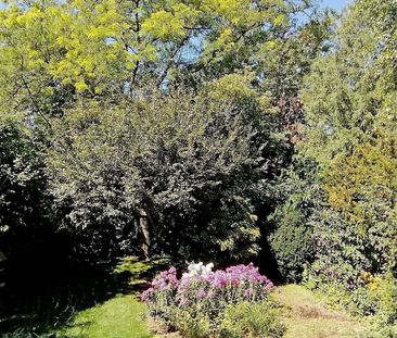 For Lease - 54 Duncannon Drive, Toronto, Ontario - Photo 6