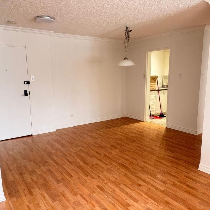 Appartement à louer - Montréal (Saint-Laurent) (Autres) - Photo 1