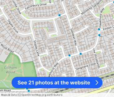 The Spinney, Bexhill-On-Sea - Photo 1