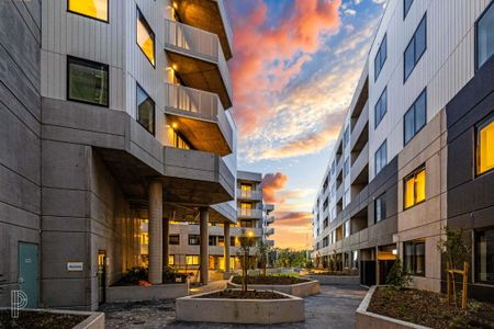 305/38 Oakden Street, Greenway ACT 2900 - Apartment For Rent | Domain - Photo 5