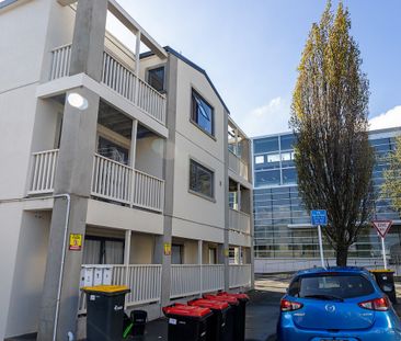 Flat 1/2 Ethel Benjamin Place, Dunedin North, Dunedin City - Photo 3