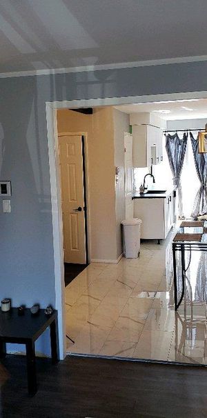 Appartement 5 et demi à Anjou dispo maintenant ANIMAUX acceptés - Photo 1