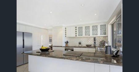 Bring the Boat..! - Photo 4