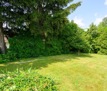 For Lease - 1295 Pinegrove Road Unit# Lower, Oakville, Ontario - Photo 5