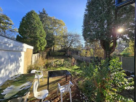 Studio to rent - Photo 4