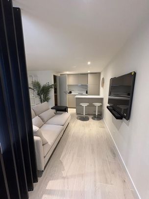 Charming Studio meublé neuf de 2025 with dressing lower floor of a villa in Mies - Photo 1