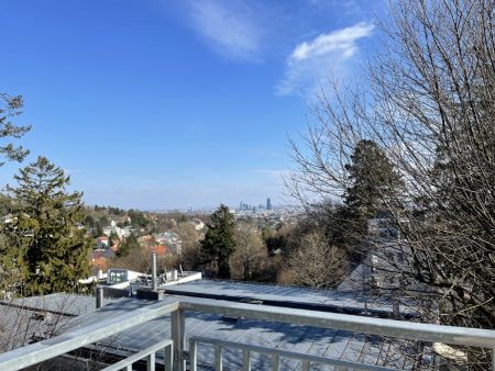 PENTHOUSE LIVING - ATEMBERAUBENDER WIENBLICK - DREI RIESEN TERRASSEN - ERSTBEZUG!! - Foto 3