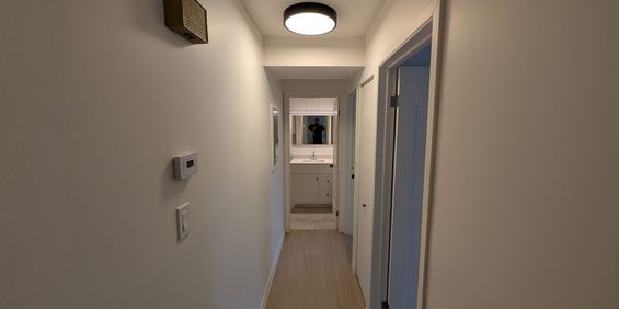 5 ½| 2 MOIS GRAUITS|ENTIÈREMENT RÉNOVÉ - Photo 3