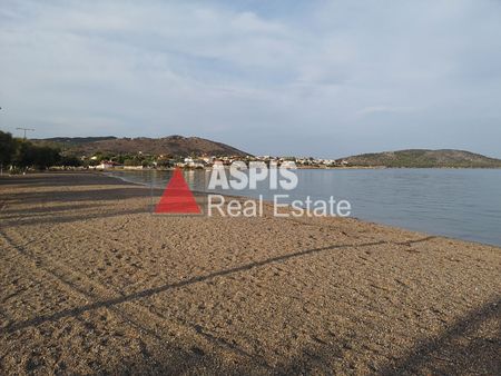 Μονοκατοικία για ενοικίαση Σαλαμίνα - Φωτογραφία 3