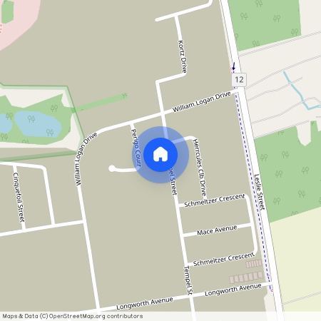 88 Tempel Street, Richmond Hill