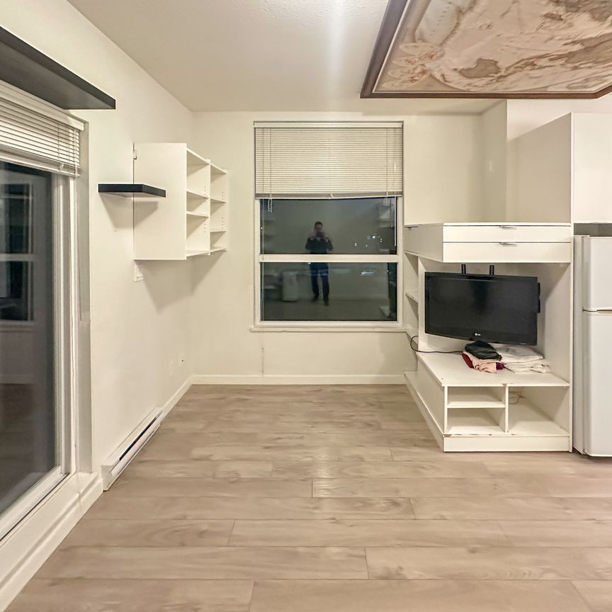 Bachelor Suite For Rent In Surrey/ Pets Allowed. - Photo 1