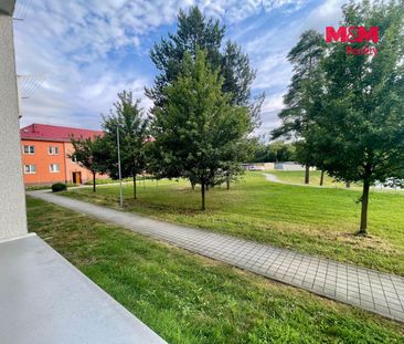 Pronájem bytu 2+1 61 m², Bařiny 781, Štramberk - Photo 4