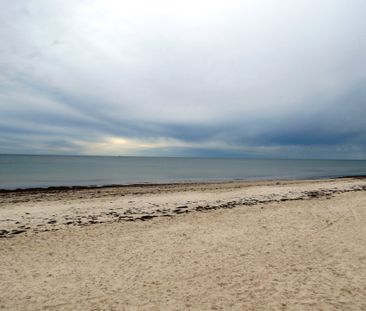 Beachfront Living at Its Best - Photo 1