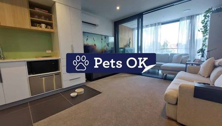 1 Bedroom mordern apartment - Handbag dog or Cat is welcome! - Photo 2
