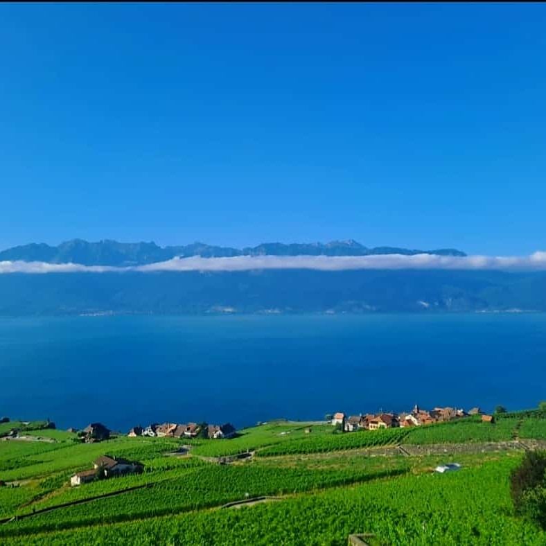 Bel appartement meublé de 3.5 pièces avec vue imprenable sur lac et montagnes - Chexbres - Photo 1